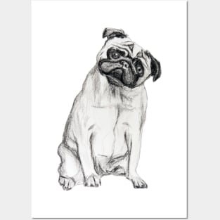 Pug-dog Posters and Art